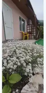 Афина - 15