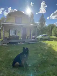 Войницкие Берега - 17