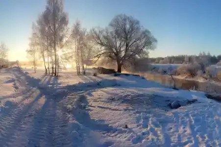 Белогостицы - 2