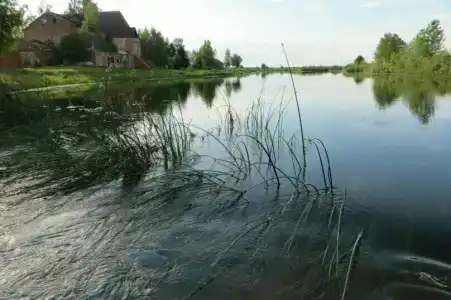 Белогостицы - 8