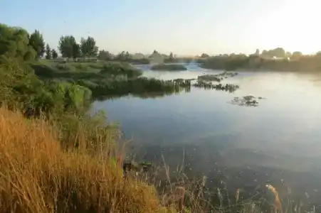 Белогостицы - 12