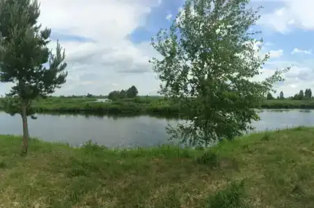 Белогостицы - 14
