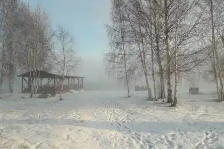 Белогостицы - 25