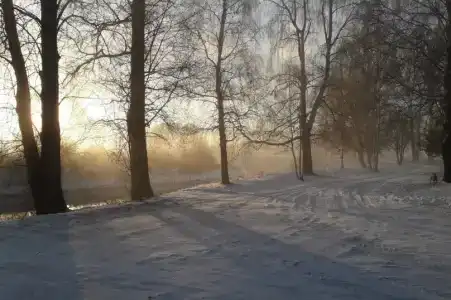 Белогостицы - 26