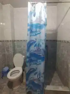 Галерея - 54