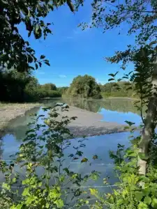 Скурча - 13