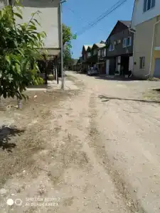 Семейный остров - 14