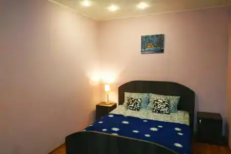 Большая квартира с кондиционером на пр Ленина - 0