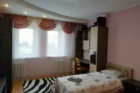 Большая квартира с кондиционером на пр Ленина - 1