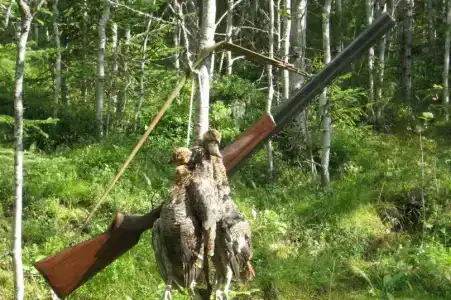 Карельский уют - 33
