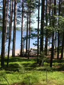 Карельский уют - 43