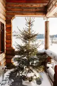 Дом с историей на берегу Ладоги - 17