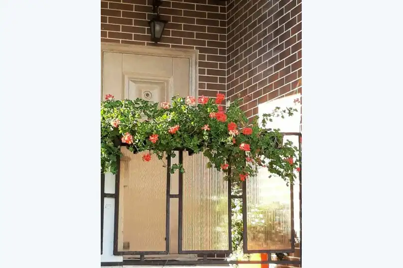 Дом для отпуска - 0