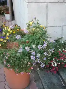 Дом для отпуска - 3