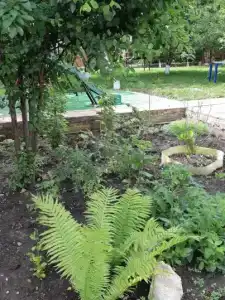 на Вишневом - 9