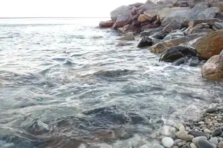 Brisa Marina (Морской Бриз) - 14