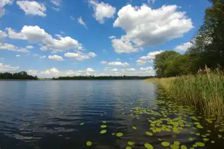 Усадьба Загорное - 18
