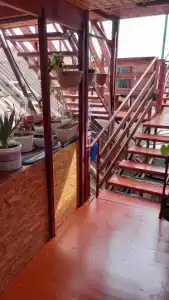 У Николая - 2