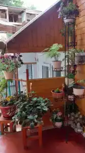 У Николая - 9