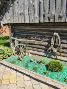 В гости к Ольге - 1