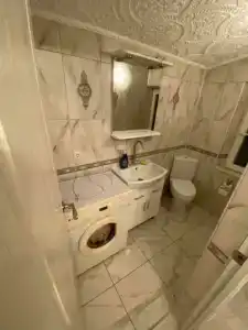 Золотая Рыбка - 29