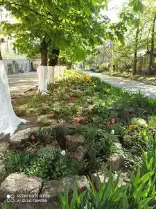 Квартира - 3