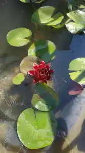 Солнечный - 11