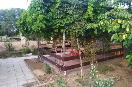 Виноградный дворик - 4