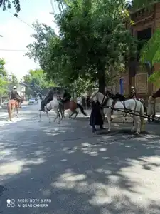 Квартира - 9