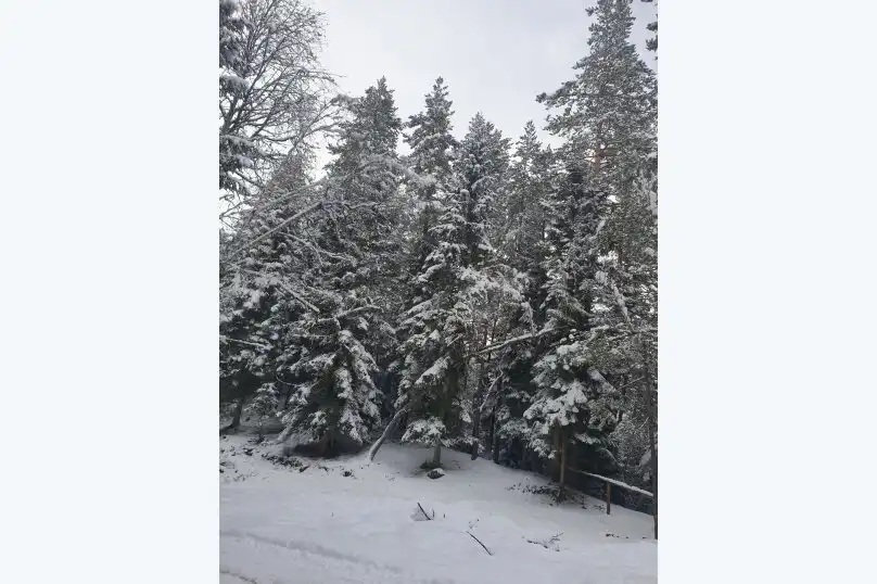 Софийская поляна - 8