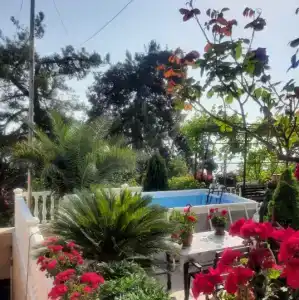 Гостевой дом у Татьяны и Владимира - 15