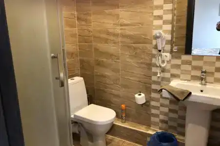 Фиеста - 36