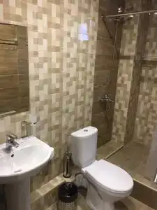 Фиеста - 54
