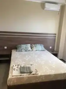 Фиеста - 55