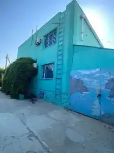 у Людмилы - 4