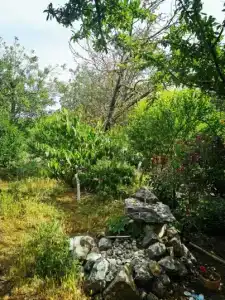 Гостевой дом на Мира - 22