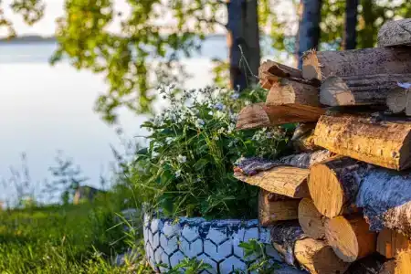 тихая Лоймола - 6