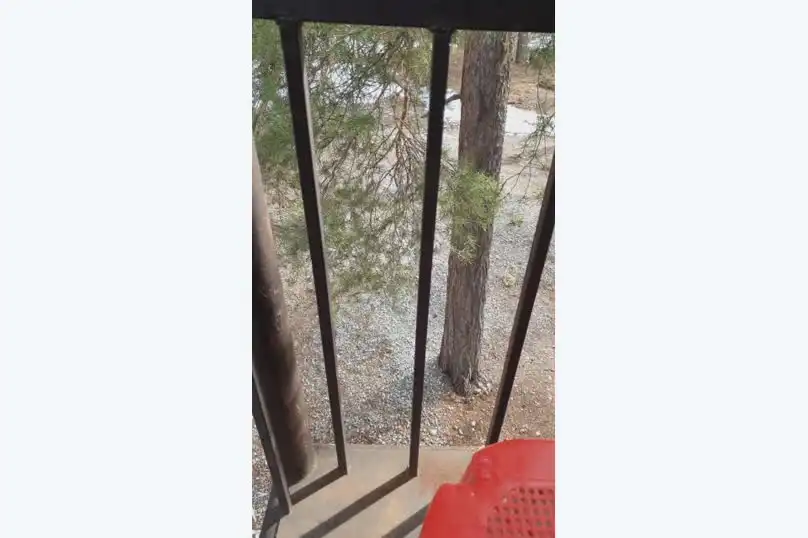 Софийская поляна - 284