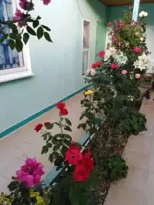 В Долине Роз - 25