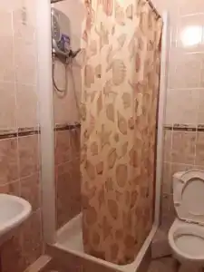 Аист - 39