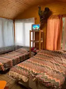 тихая Лоймола - 15