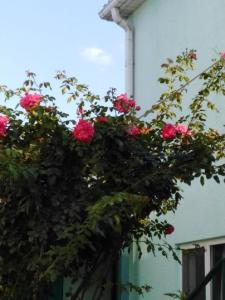 В Долине Роз - 54