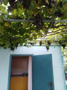 В Долине Роз - 57