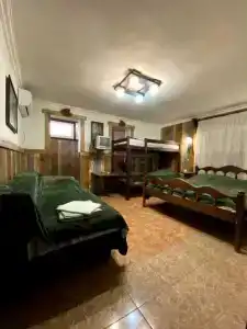 Магнолия - 64
