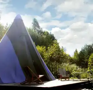 Hoki Camp - 2