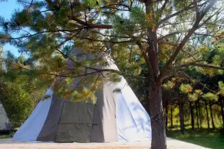 Hoki Camp - 7
