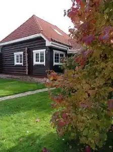 Гостевой дворик Веры Федоровны - 6