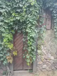 Гостевой дворик Веры Федоровны - 25