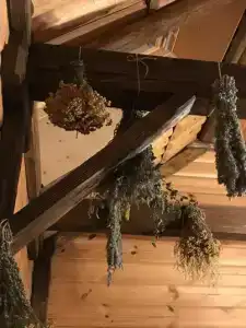 Гостевой дворик Веры Федоровны - 48