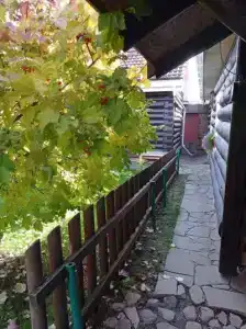 Гостевой дворик Веры Федоровны - 53